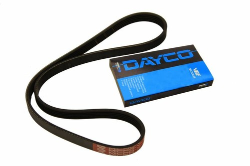 Dayco day5pk1588 ribbed belt - day5pk1588, v-ribbed